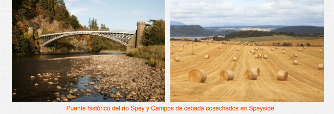 cata whisky